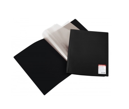 Папка ErichKrause® Standart с 20 джоба, А4