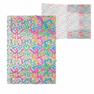 Папка с ластик ErichKrause® Lines, A4