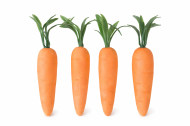 Моркови  Daco - 4 Броя